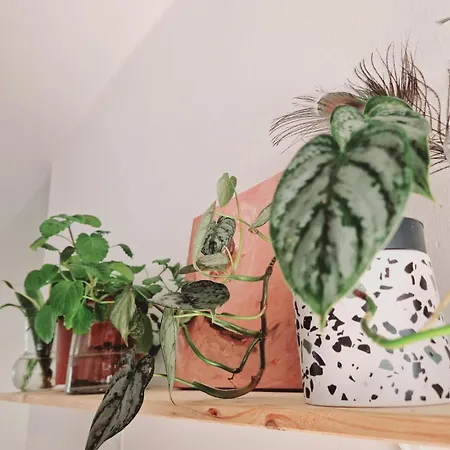 Villa Mirakai Playa Honda (Lanzarote)